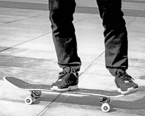 Skateboard In Black And White paint by numbers