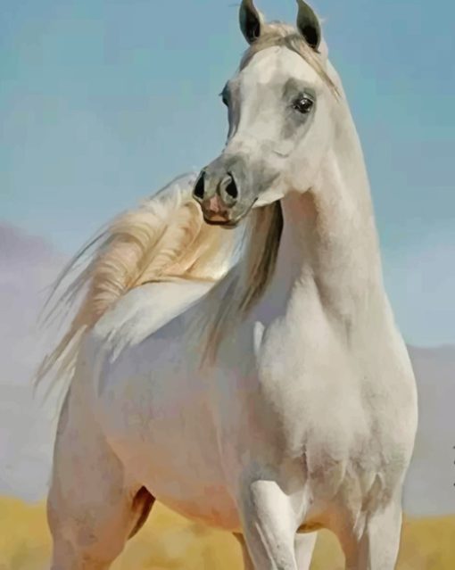 Stallion Horse paint by numbers