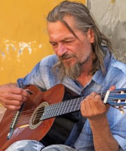 Street Artist With Guitar paint by numbers