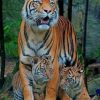 Tiger Mommy And Cubs paint by numbers