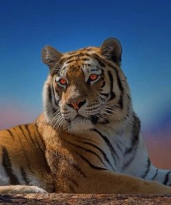 Tiger Portrait paint by numbers