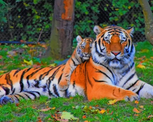 Big Tiger And His Cub paint by numbers