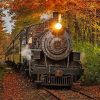 Classic Train In Fall paint by numbers