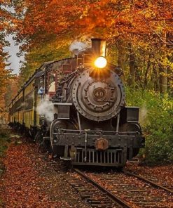 Classic Train In Fall paint by numbers