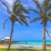 Tropical Hammock On The Beach paint by numbers