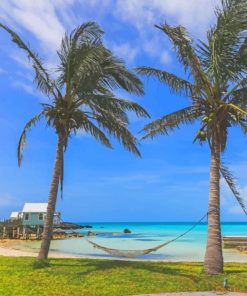 Tropical Hammock On The Beach paint by numbers