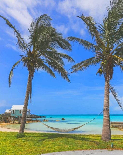 Tropical Hammock On The Beach paint by numbers