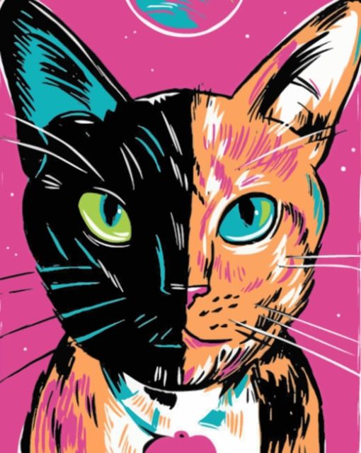 Two Faced Cat Illustration paint by numbers