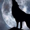 Wolf Silhouette At The Perfect Moon paint by numbers