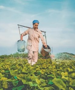 Woman Watering Plants paint by numbers