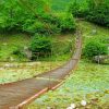 Wooden Bridge Valbonë Village In Albania paint by numbers