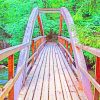 Wooden Bridge Within Trees paint by numbers