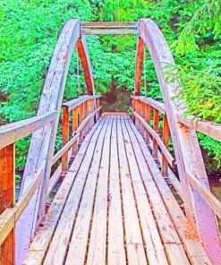 Wooden Bridge Within Trees paint by numbers