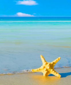 Yellow Star Fish On Beach paint by numbers