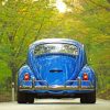 1974 Volkswagen Beetle 120 Paint By Numbers