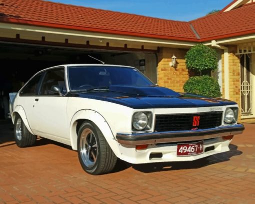 Holden Torana Ss paint by numbers