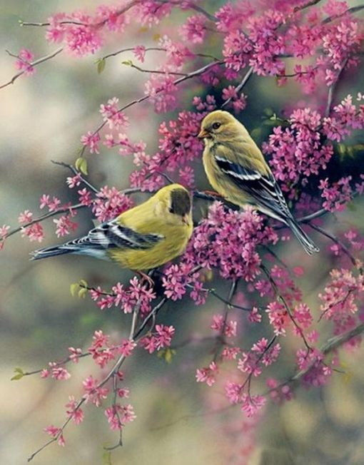 American Goldfinch Paint by numbers