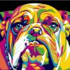 Abstract Bulldog paint By Numbers