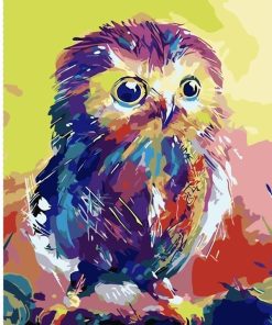 Colorful Chick Owl paint by numbers