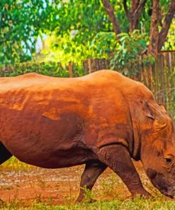 African Rhinoceros paint by numbers