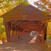 Albany Covered Bridge paint by numbers