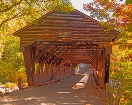 Albany Covered Bridge paint by numbers