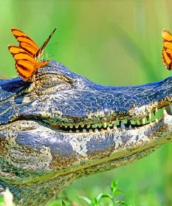 Alligator With Butterflies Paint By Numbers