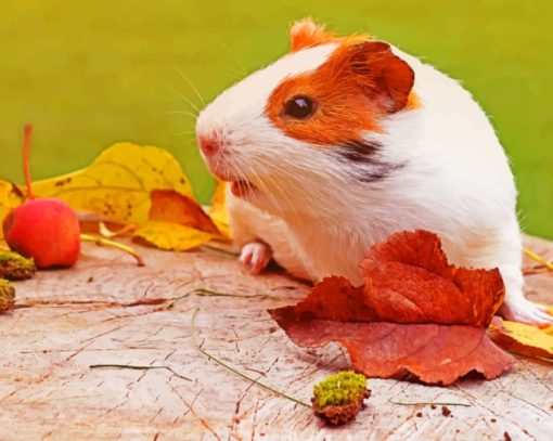 Autumn Guinea Pigs Paint By Numbers