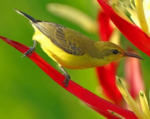 Avian Perch On Leaves paint by numbers