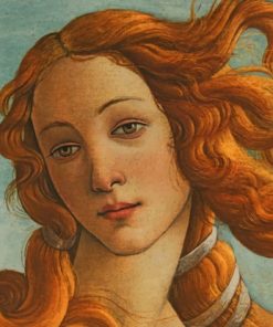 Birth Of Venus Sandro Botticelli paint by numbers