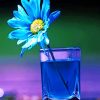 Blue Flower In Glass paint by numbers