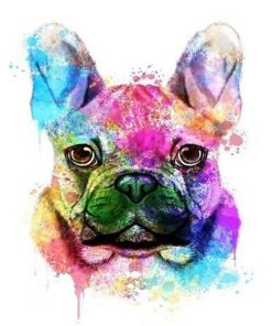 French Bulldog Colorful