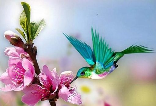 humming bird paint by numbers