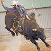 Bull Rider Paint By Numbers