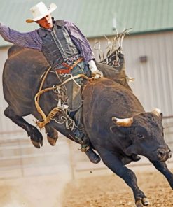 Bull Rider Paint By Numbers