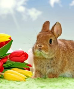 Bunny With Flowers paint by numbers