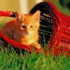 Cat In Basket paint by numbers