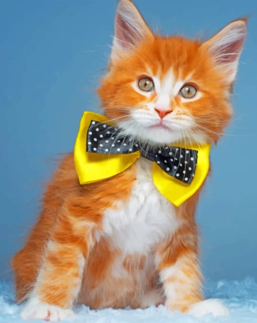 Cat With Neck Bow Tie paint by numbers