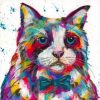 colorful cat splatter paint by numbers