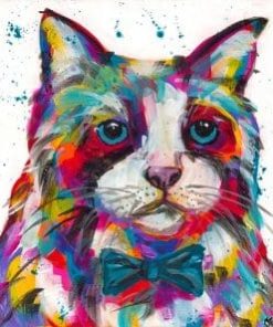 colorful cat splatter paint by numbers