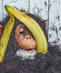 Chimpanzee With Banana paint by numbers