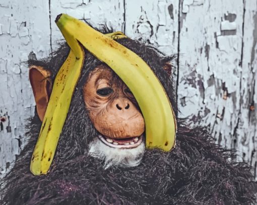 Chimpanzee With Banana paint by numbers