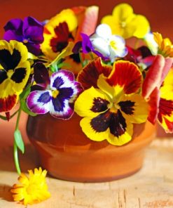 Colorful Pansies Paint By Numbers