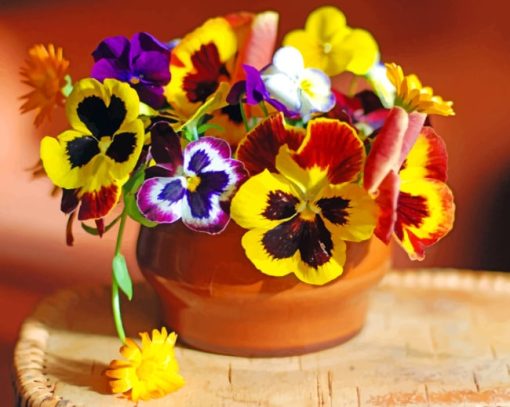 Colorful Pansies Paint By Numbers