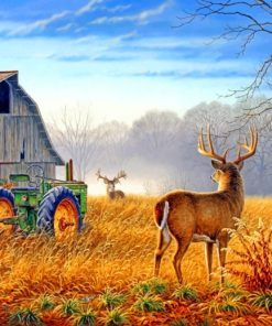 Country Scenes Paint By Numbers