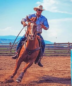 Cowboy And His Horse Paint By Numbers