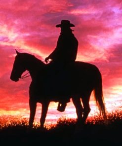 Cowboy On His Horse Paint By Numbers