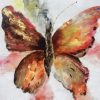 Brown Butterfly paint by numbers