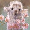 Baby llama paint by numbers