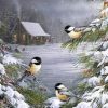 Winter Bird Paint by number